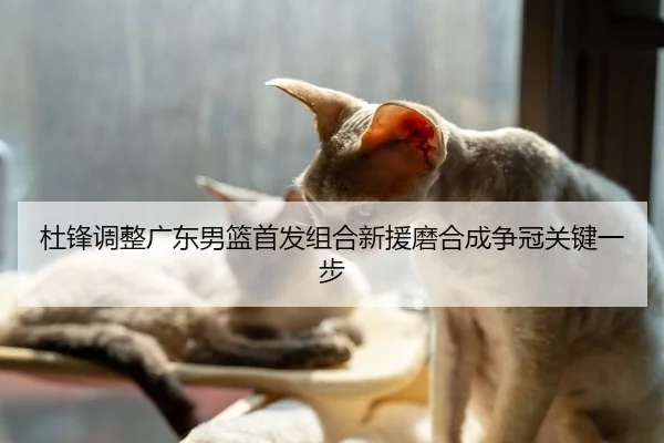 杜锋调整广东男篮首发组合新援磨合成争冠关键一步